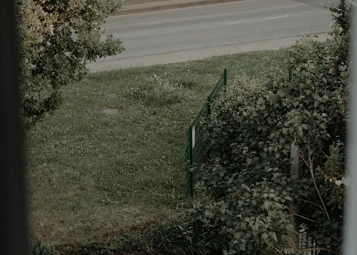 Cozy With A Stream View ולנדר